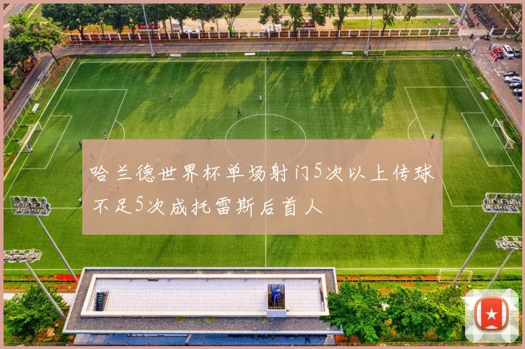 哈兰德世界杯单场射门5次以上传球不足5次成托雷斯后首人