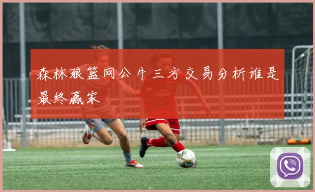 森林狼篮网公牛三方交易分析谁是最终赢家